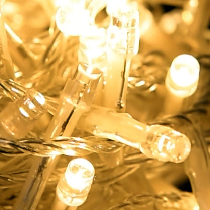 Catena Luminosa a Led Calda cavo trasparente 200 luci